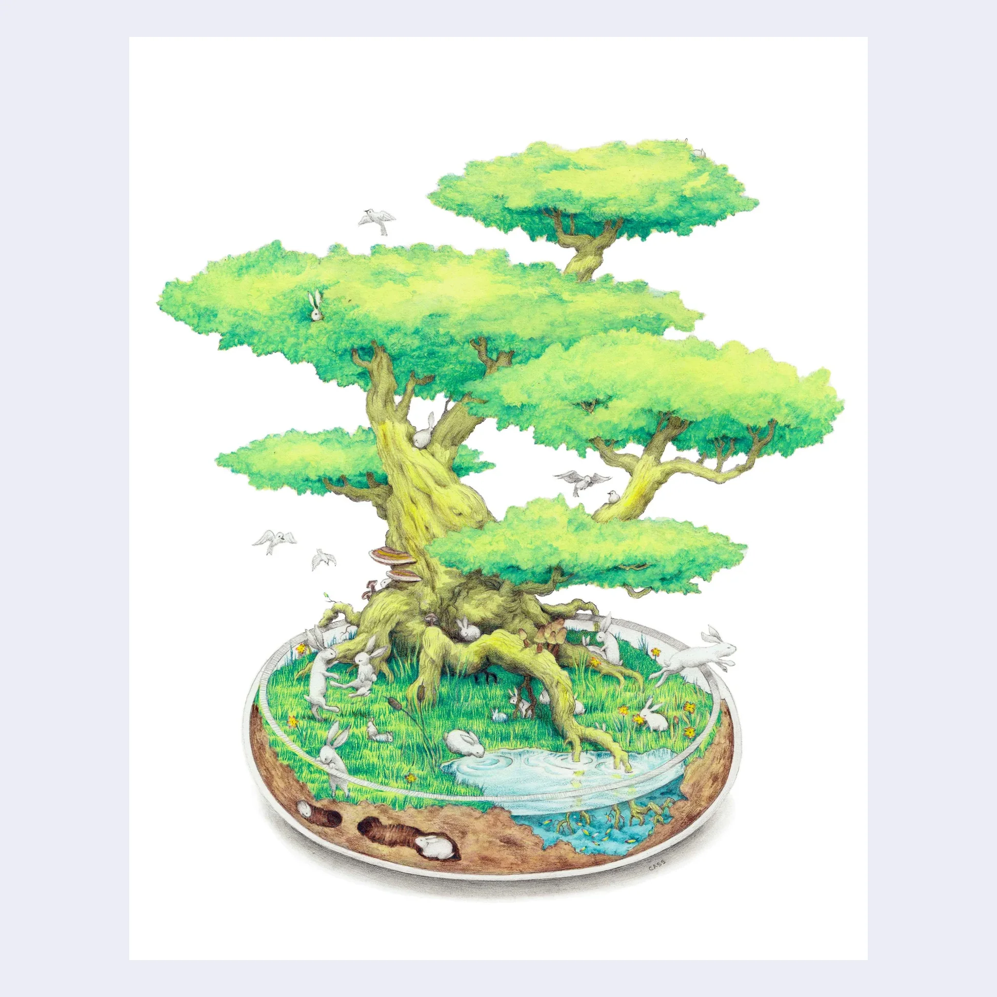 Cassia Lupo - "Bonsai Bunnies" Art Print (8 x 10)