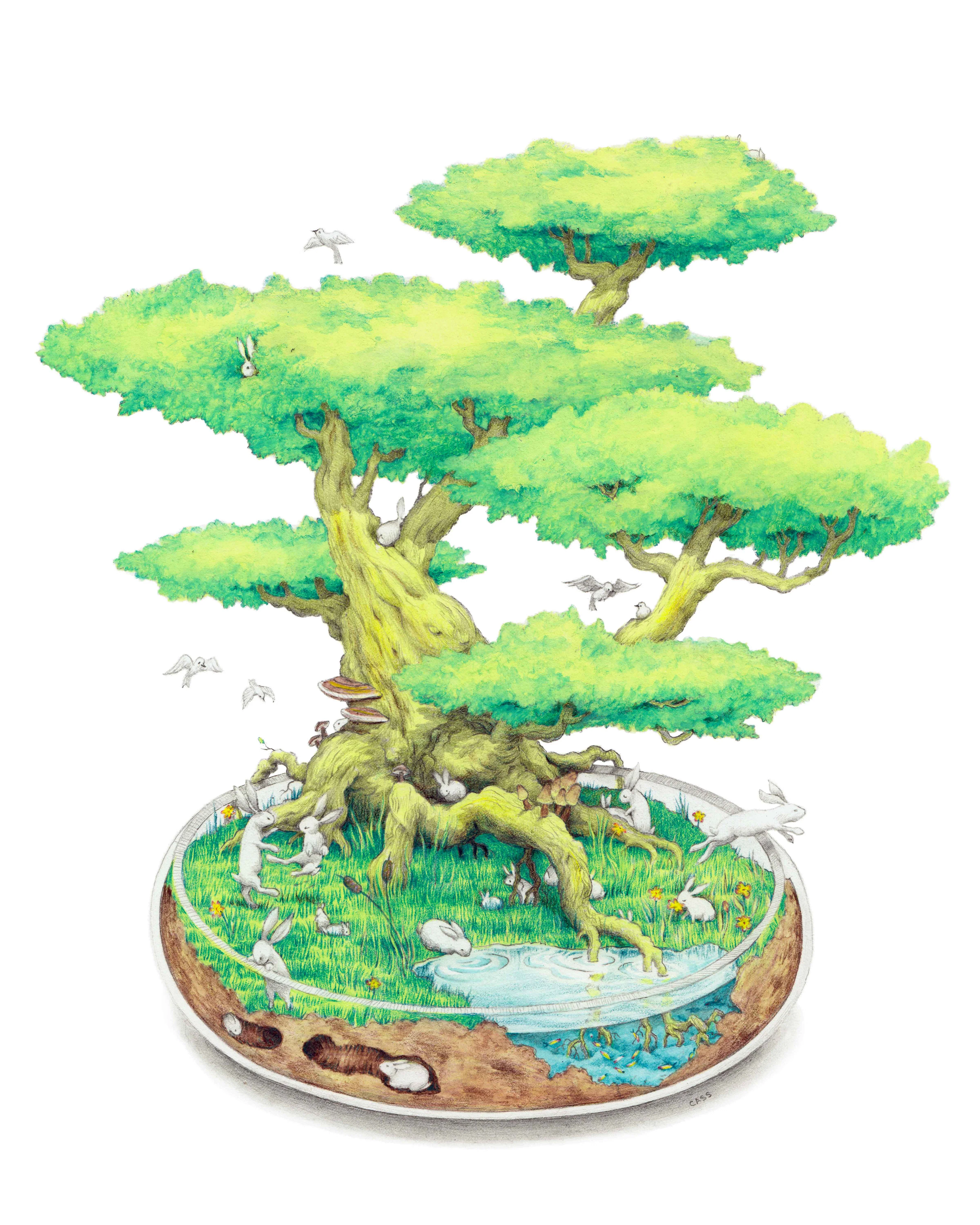 Year of the Rabbit 2023 - Cassia Lupo - "Bonsai Bunnies"